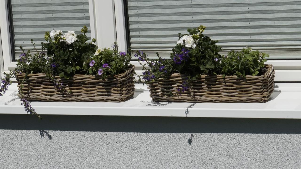 Ferienwohnung Wiesenblick Nahe Region Celle Und Hannover Buchholz Aller Exterior photo