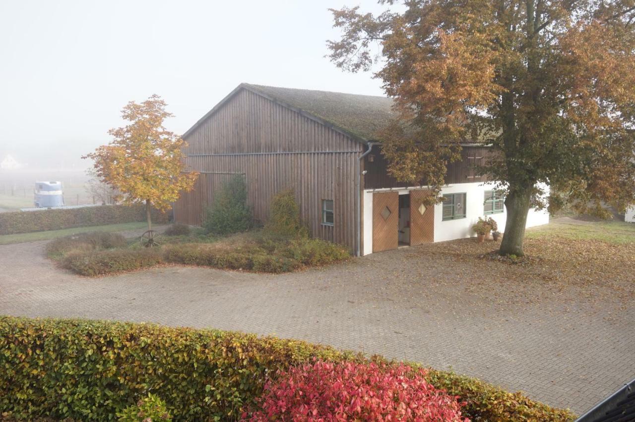 Ferienwohnung Wiesenblick Nahe Region Celle Und Hannover Buchholz Aller Exterior photo